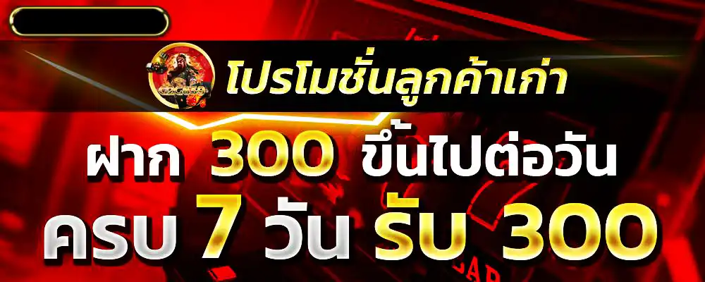 โปรโมชั่นลูกค้าเก่า